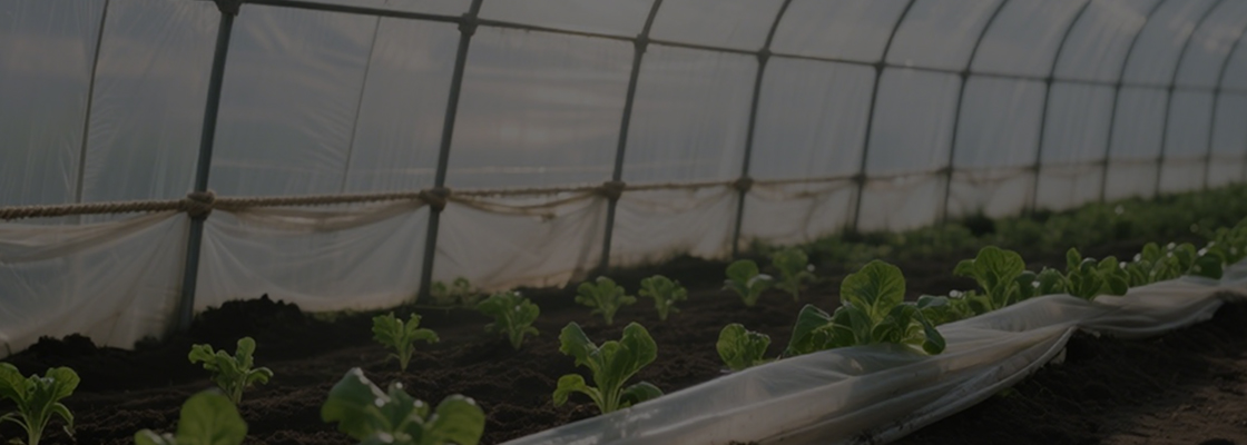 Kemikalier til daglig brug